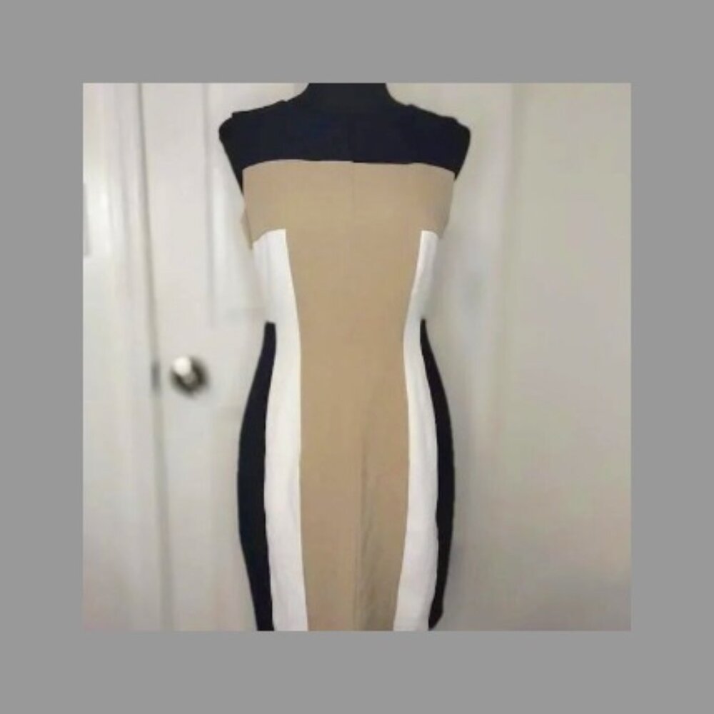 Sandra Darren Colorblock Cocktail Dress
